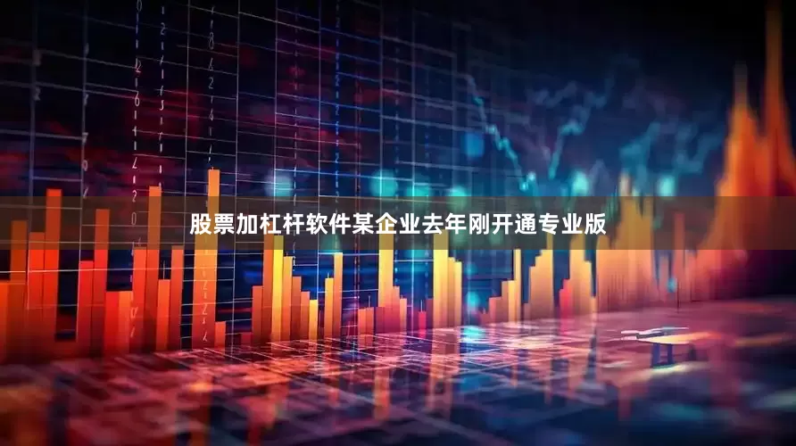 股票加杠杆软件某企业去年刚开通专业版